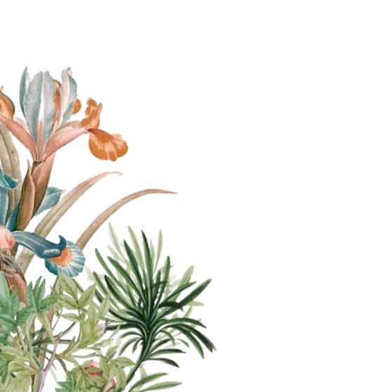frame